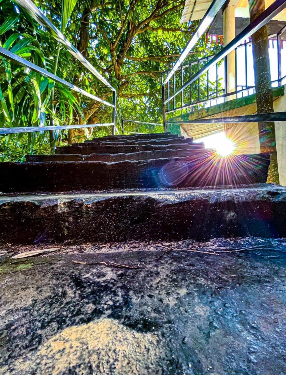 Nature Green Hotels On Rock Home Ella Zewnętrze zdjęcie
